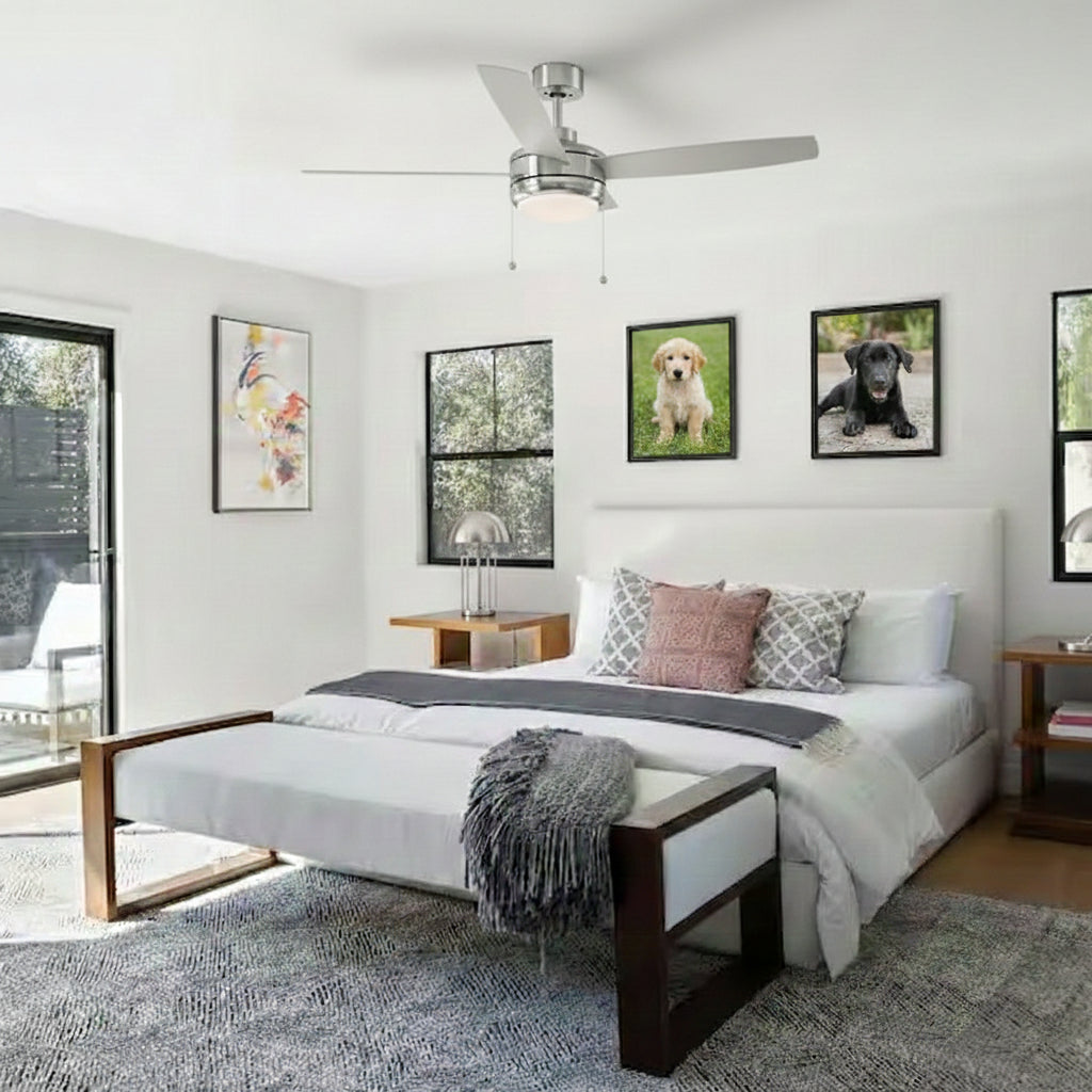 Ceiling Fans